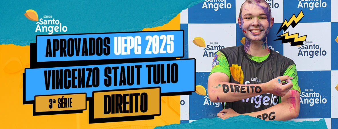 1785350569593_vicenzo-staut_otimized.webp